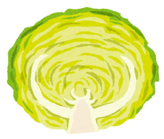 cut_vegetable_cabbage.png