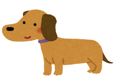 dog_miniature_dachshund.png