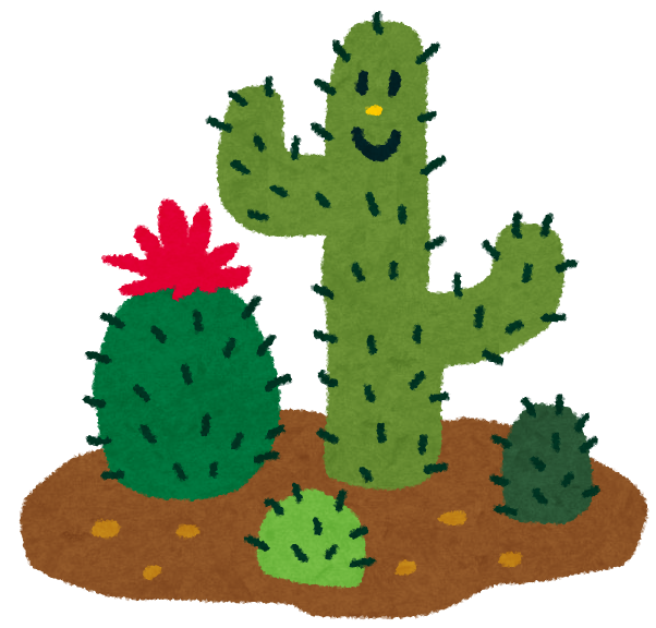 plant_cactus.png